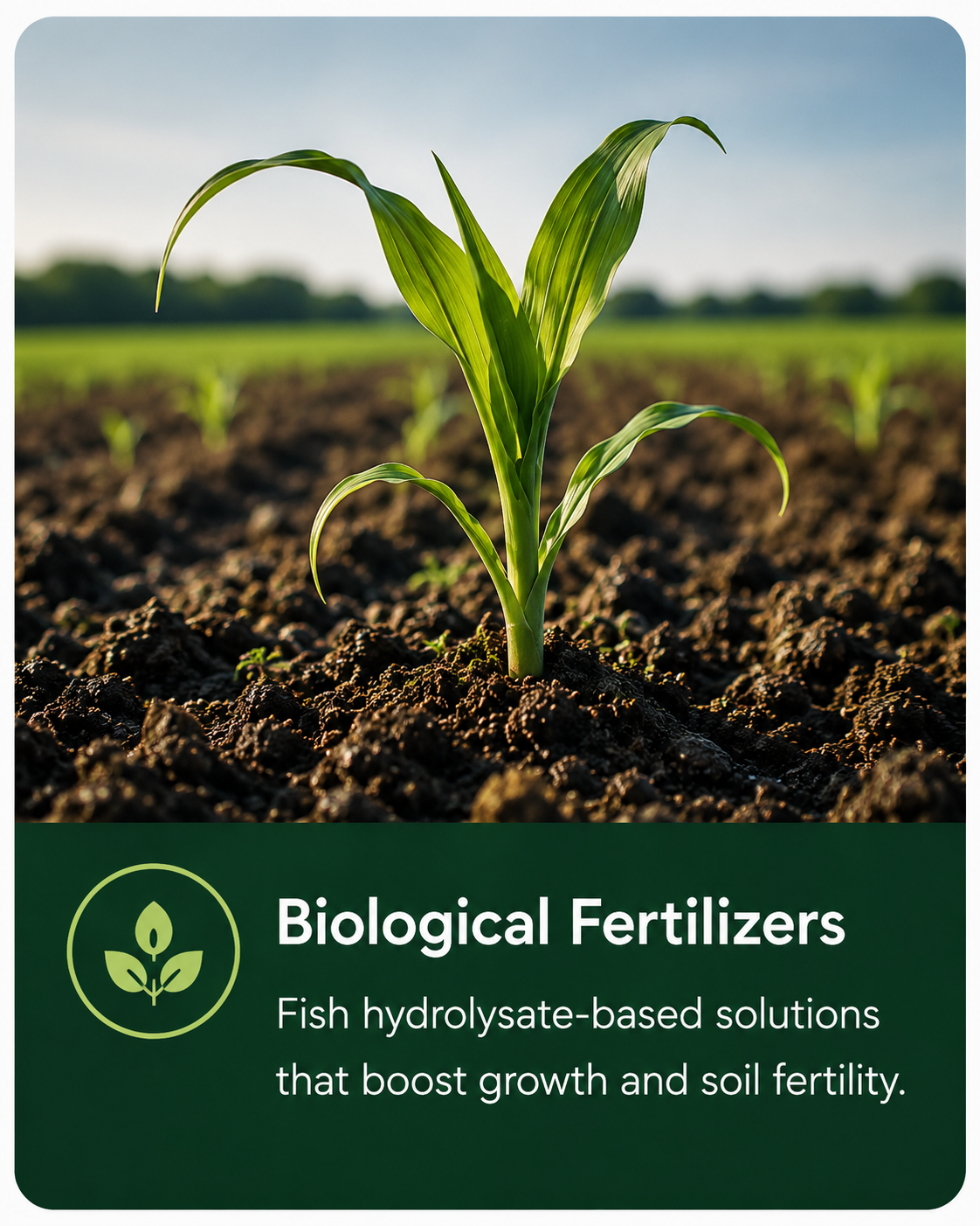 Liquid NPK Bio Stimulants
